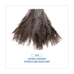 Boardwalk 6 in. Wood Handle Professional Ostrich Feather Duster