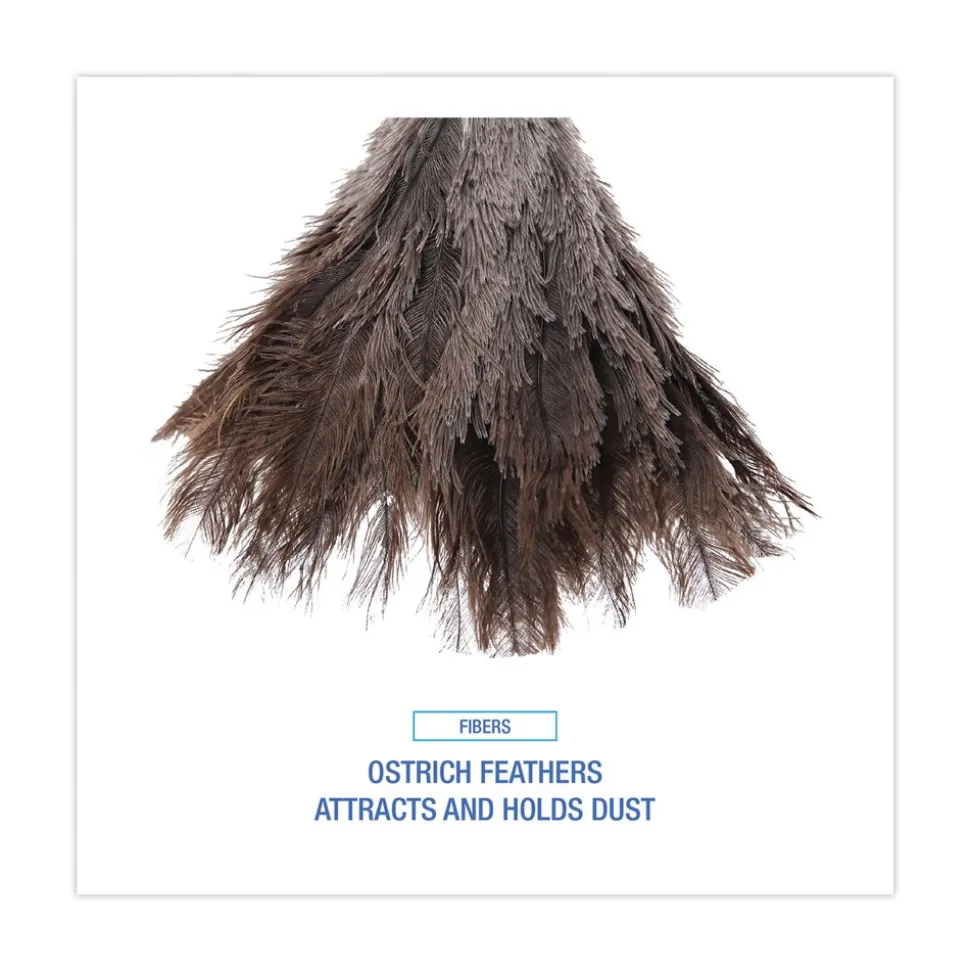 Boardwalk 6 in. Wood Handle Professional Ostrich Feather Duster
