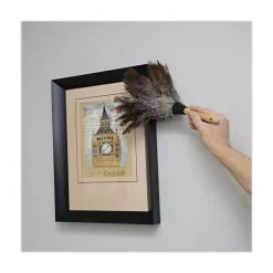 Boardwalk 6 in. Wood Handle Professional Ostrich Feather Duster