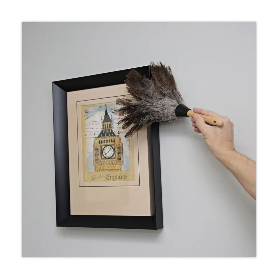 Boardwalk 6 in. Wood Handle Professional Ostrich Feather Duster