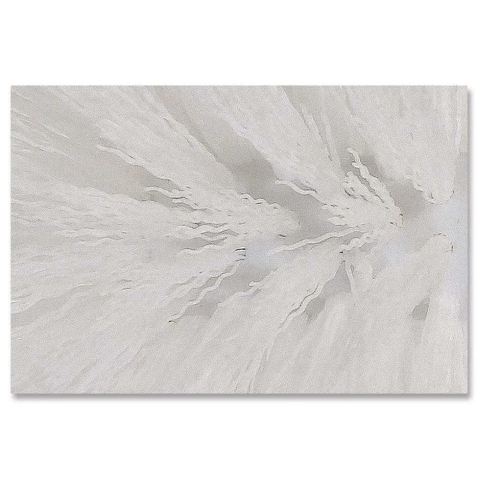 Boardwalk Spiral Bowl Brush, 13-in Handle, White