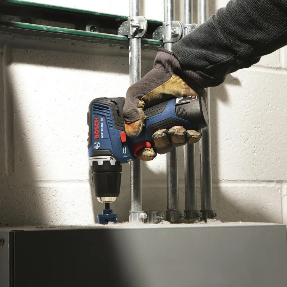 Bosch 12V MAX Brushless Lithium-Ion 3/8 in. Cordless Drill Driver/1/4 in. Hex impact Driver Combo Kit (2 Ah)