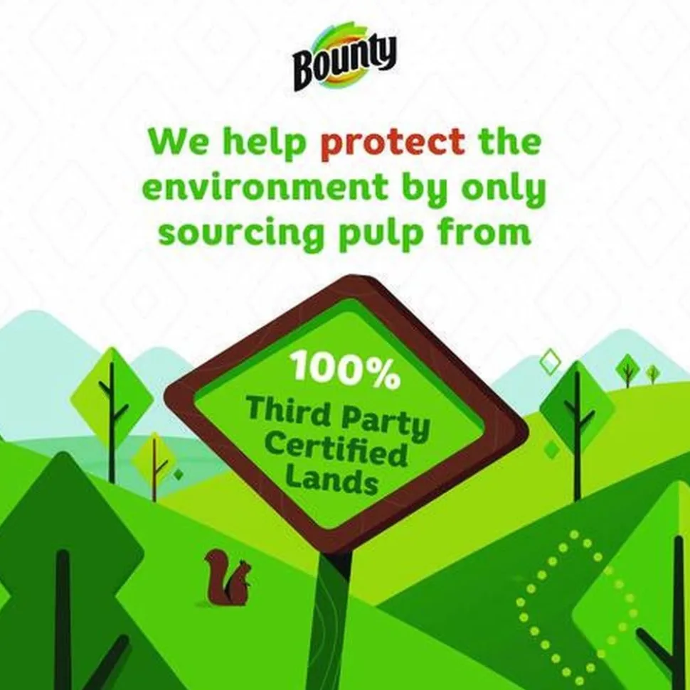 Bounty Essentials Select-A-Size 2-Ply Kitchen Roll Paper Towels (1/Carton)