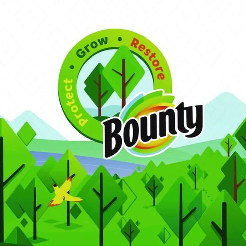 Bounty Essentials Select-A-Size 2-Ply Kitchen Roll Paper Towels (1/Carton)