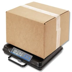 Brecknell 100 lbs. Capacity 12.5 in. x 10.95 in. x 2.2 in. Platform Portable Electronic Utility Bench Scale