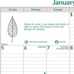 Brownline 12-Month (Jan to Dec): 2026 12 in. x 17 in. EcoLogix Artwork Monthly Wall Calendar - White/Green Sheets