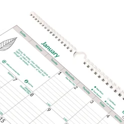 Brownline 12-Month (Jan to Dec): 2026 12 in. x 17 in. EcoLogix Artwork Monthly Wall Calendar - White/Green Sheets