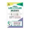 Carson-Dellosa 225 Pages Grades K to 3 (Ages 5 to 8) In a Flash USB - Animal Lifestyles
