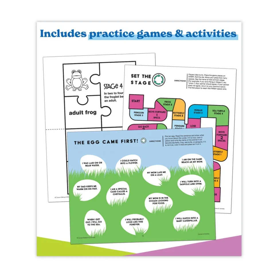 Carson-Dellosa 225 Pages Grades K to 3 (Ages 5 to 8) In a Flash USB - Animal Lifestyles