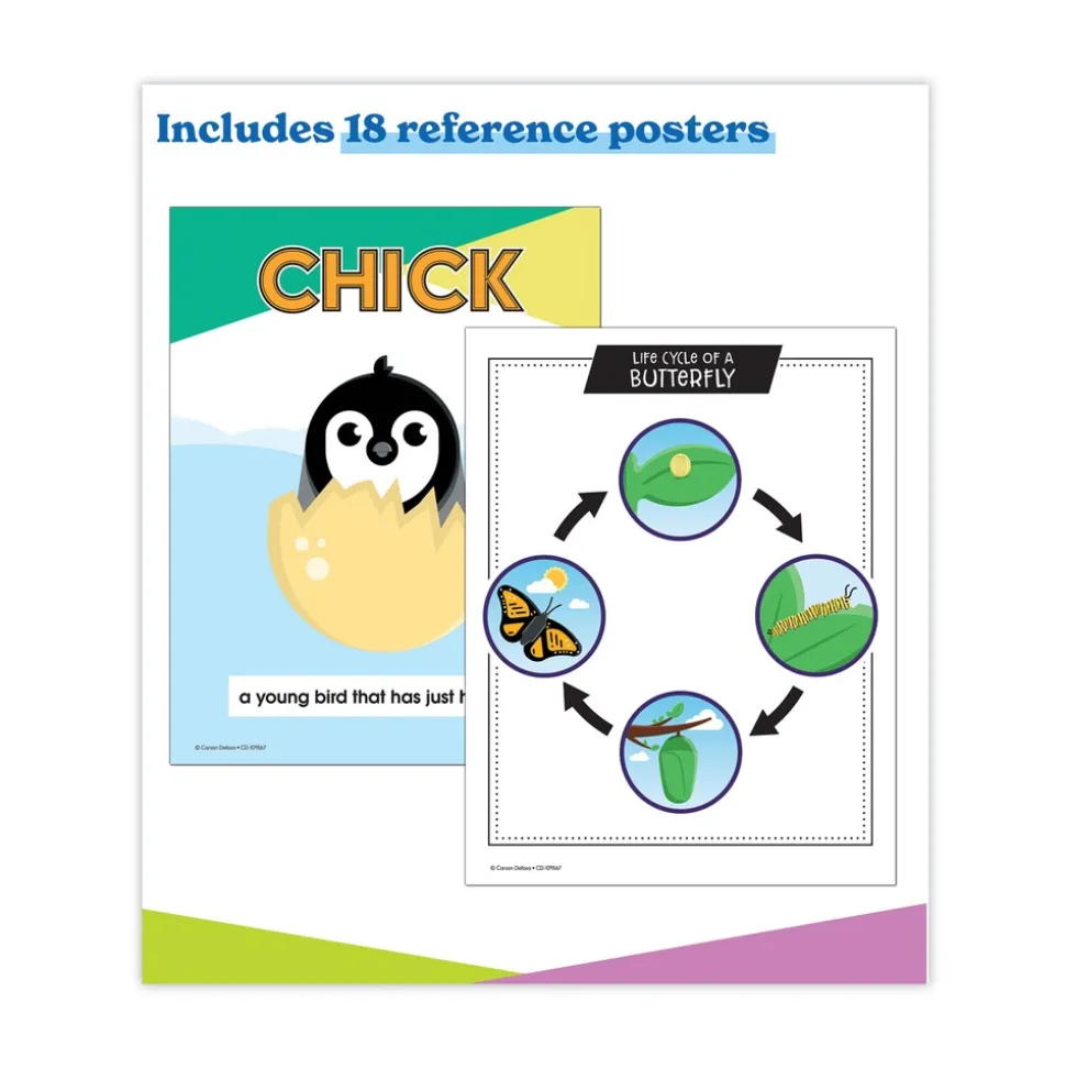 Carson-Dellosa 225 Pages Grades K to 3 (Ages 5 to 8) In a Flash USB - Animal Lifestyles