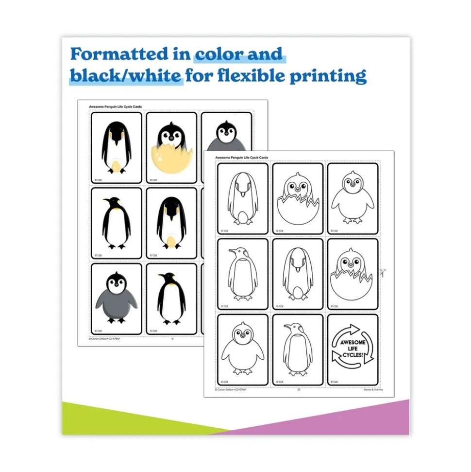 Carson-Dellosa 225 Pages Grades K to 3 (Ages 5 to 8) In a Flash USB - Animal Lifestyles