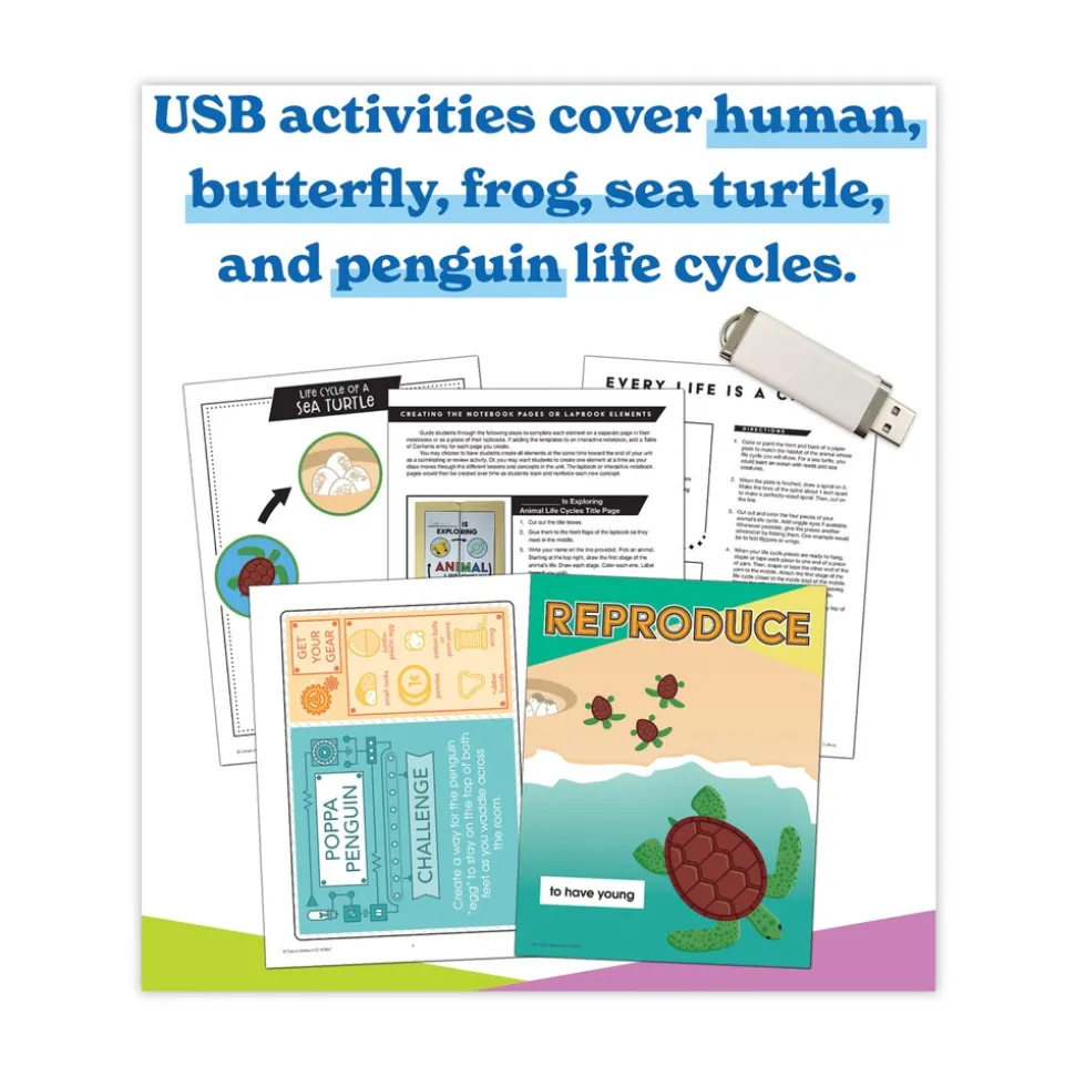 Carson-Dellosa 225 Pages Grades K to 3 (Ages 5 to 8) In a Flash USB - Animal Lifestyles