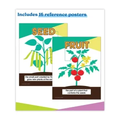 Carson-Dellosa 191 Pages Grades K to 3 (Ages 5 to 8) In a Flash USB - Plants