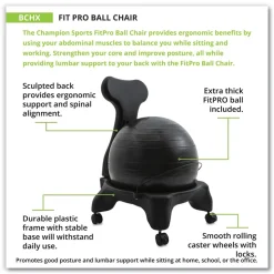 Champion Sports Fitpro Ball Chair, Supports Up To 200 Lb, Gray