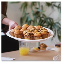 Chinet PaperPro 10-1/2 in. Diameter Plate Naturals Fiber Dinnerware - Natural (500/Carton)