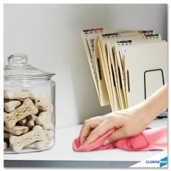 Clorox 01698 32 oz. Spray Bottle Anywhere Daily Disinfectant and Sanitizer (12/Carton)