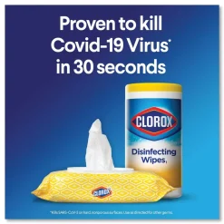Clorox 7 in. x 8 in. 1-Ply Disinfecting Wipes - Crisp Lemon, White (35/Canister)