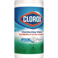 Clorox 7 in. x 8 in. 1-Ply Disinfecting Wipes - Fresh Scent, White (450/Carton)