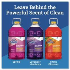 Clorox 175 oz. Bottle CloroxPro Fraganzia Multi-Purpose Cleaner - Citrus Blossom Scent (3/Carton)