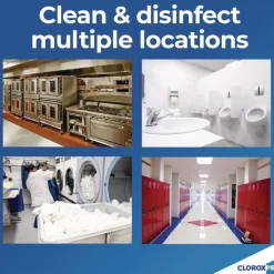 Clorox 121 oz. Bottle Regular Concentrated Germicidal Bleach (3/Carton)