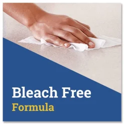 Clorox 1 Ply 7 in. x 8 in. Fresh Scent Disinfecting Wipes - White (1/Carton)