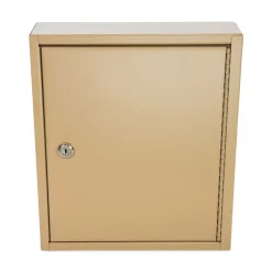 CONTROLTEK 10.63 in. x 3 in. x 12.13 in. 60-Key Metal Lockable Key Cabinet - Sand