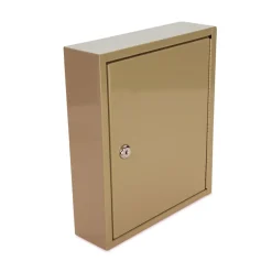 CONTROLTEK 10.63 in. x 3 in. x 12.13 in. 60-Key Metal Lockable Key Cabinet - Sand