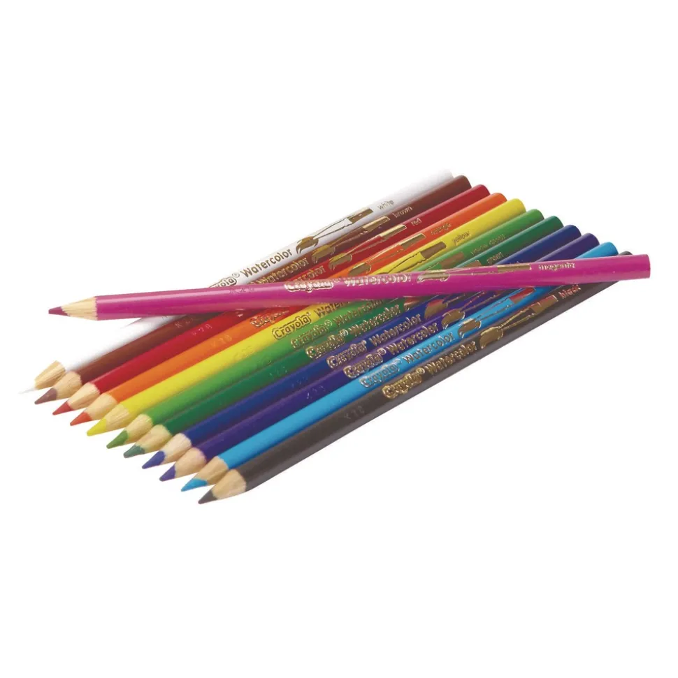 Crayola 3.3 mm Watercolor Pencil Classpack - Assorted Lead and Barrel Colors (240/Pack)