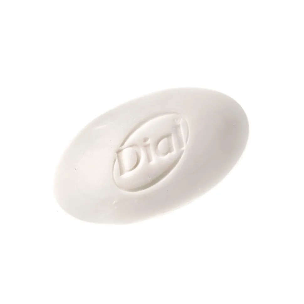 Dial Amenities 23 grams Body Bar Soap - Fresh Scent (500/Carton)