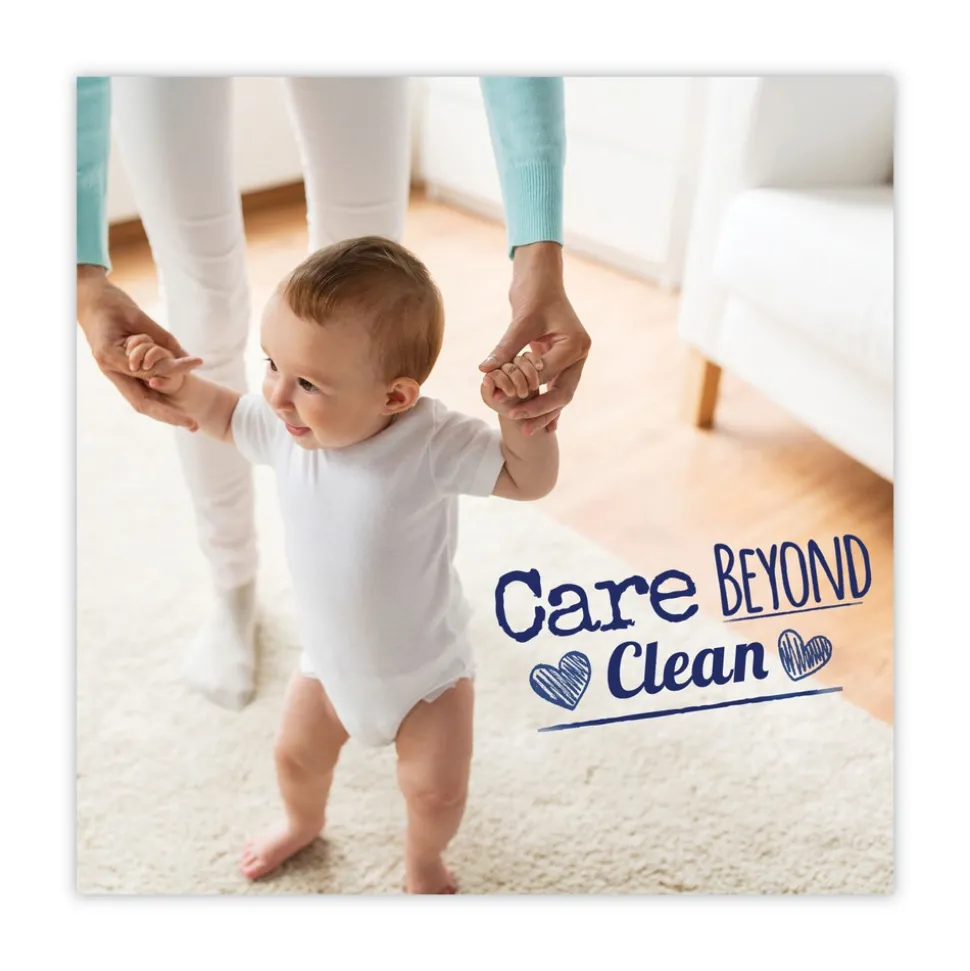 Dial Mighty Pacs Free and Clear Super Concentrated Laundry Detergent (6/Carton)