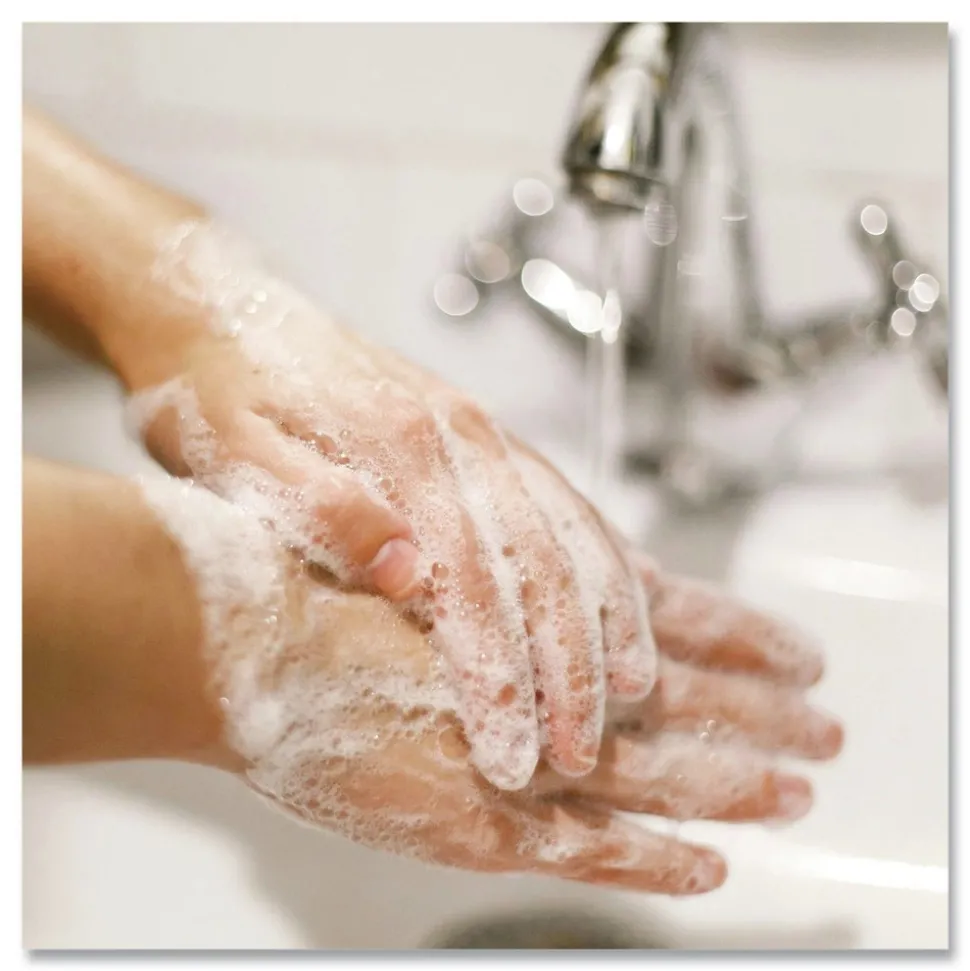 Dial Professional 1 gal. Gold Antibacterial Liquid Hand Soap (4/Carton)