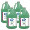 Dial Professional Basics 1 Gallon Hypoallergenic Hand Wash - Honeysuckle Scent (4/Carton)