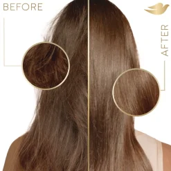 Dove 12 oz Bottle Coconut Conditioner (6/Carton)