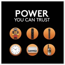 Duracell CopperTop Alkaline D Batteries (4/Pack)