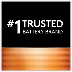 Duracell CopperTop Alkaline C Batteries (2/Pack)