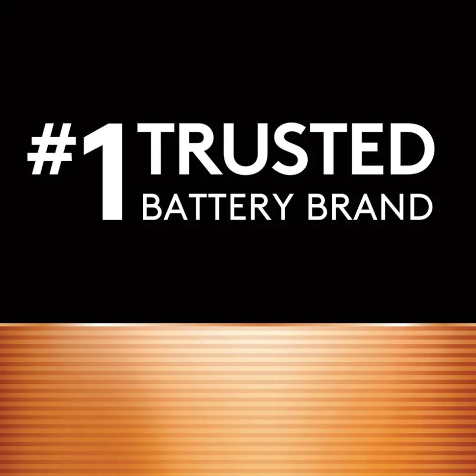 Duracell 1.5V 76A Specialty Alkaline Batteries (4/Pack)