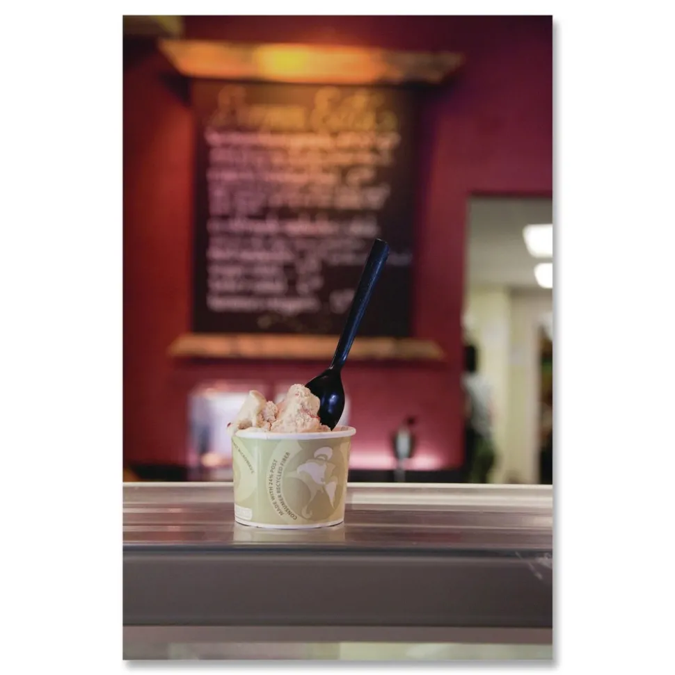 Eco-Products EP-S113 6 in. 100 Percent Recycled Content Spoon - Black (1000/Carton)