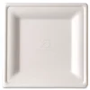 Eco-Products Vanguard 7.87 in. x 7.87 in. Renewable and Compostable Sugarcane Plates - White (500/Carton)
