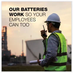 Energizer MAX 1.5 Volts AA Alkaline Batteries (4/Pack)