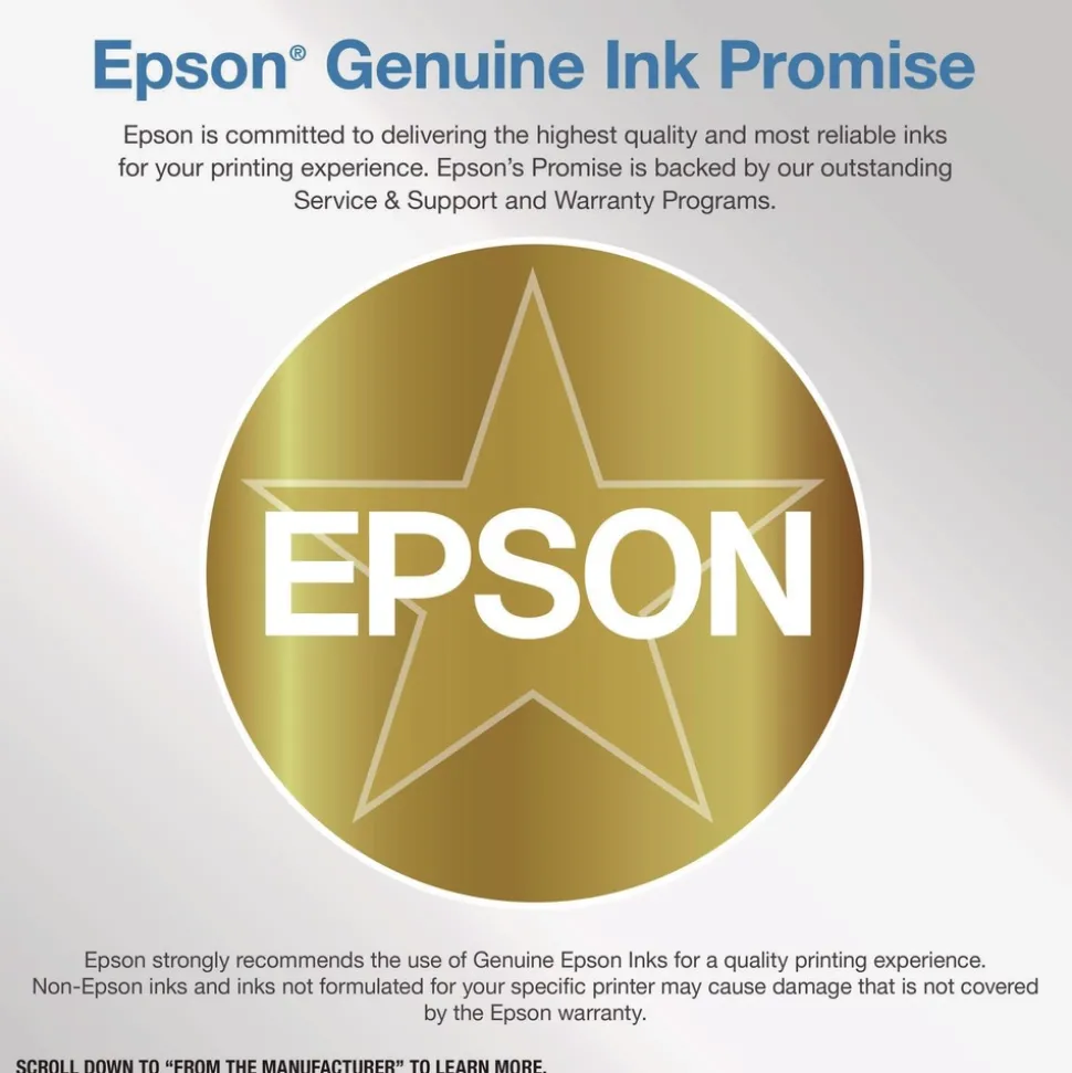 Epson (60) DURABrite 450 Page-Yield Ink - Black
