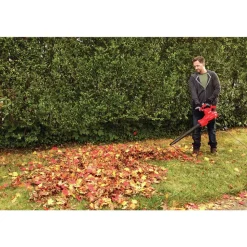 Factory Reconditioned Craftsman 12 Amp Corded Blower/Vacuum/Mulcher Kit