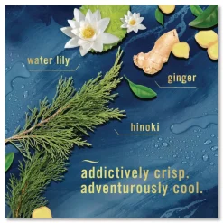 Febreze 80816821 AIR, Ocean, 8.8 oz Aerosol Spray, 2/Pack, 3 Packs/Carton