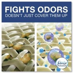 Febreze 1 Gallon 5X Concentrate Professional Fabric Refresher Deep Penetrating (2/Carton)