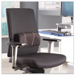 Fellowes Mfg Co. 12 in. x 3.13 in. x 5.19 in. Lumbar Back Support - Black