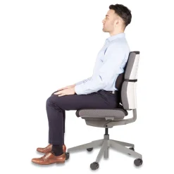 Fellowes Mfg Co. 12 in. x 3.13 in. x 5.19 in. Lumbar Back Support - Black