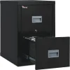 FireKing Patriot by FireKing 17.75 in. x 25 in. x 27.75 in. Insulated Fire File with 2 Legal/Letter Drawers - Black
