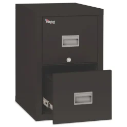 FireKing Patriot by FireKing 17.75 in. x 25 in. x 27.75 in. Insulated Fire File with 2 Legal/Letter Drawers - Black
