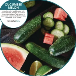 Fresh Products myfresh Refills - Cucumber Melon (6/Box)