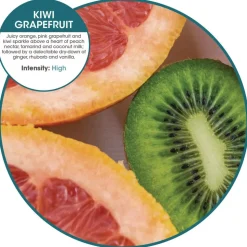 Fresh Products OFB-F-008I008I-09 ourfresh Airfreshener - Kiwi Grapefruit (8/Box)