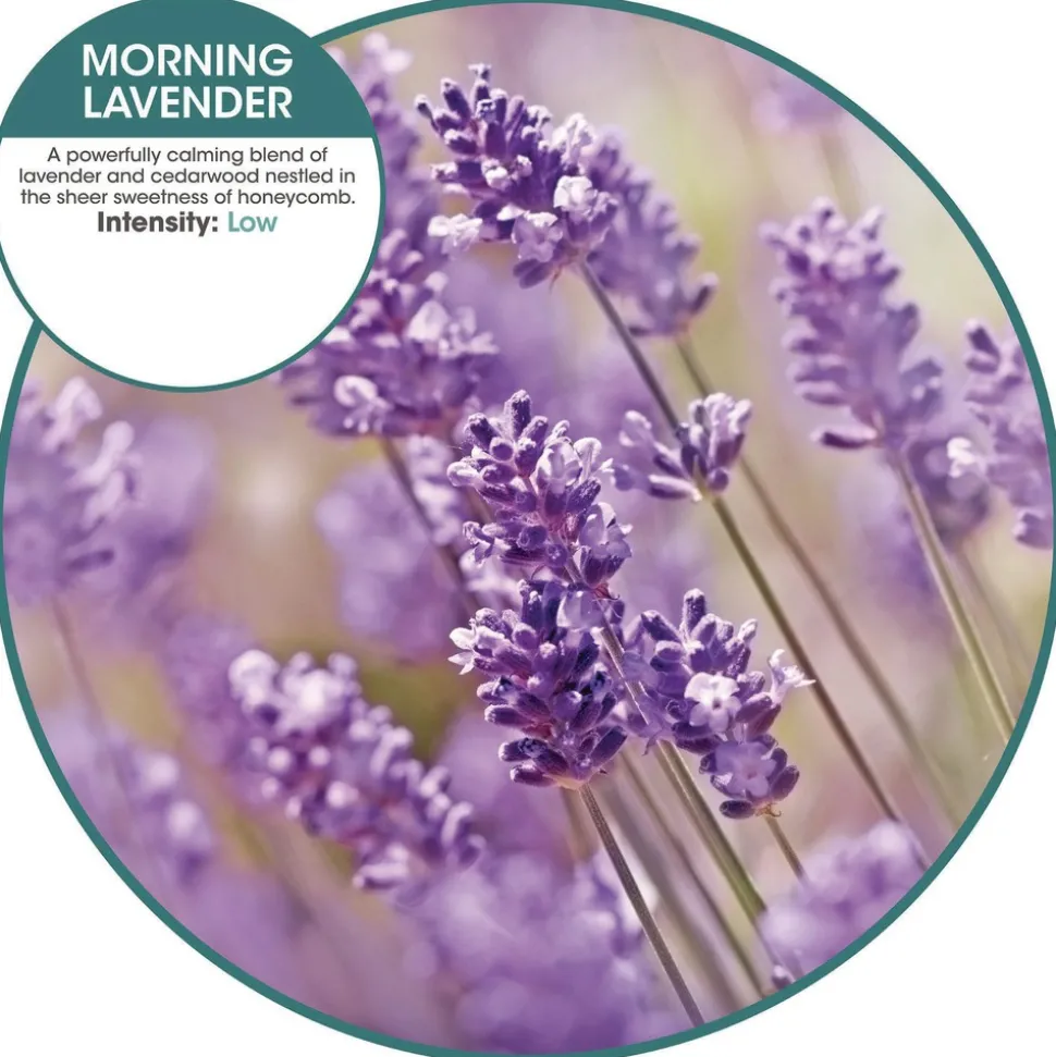 Fresh Products OFENB-F-006I036M-78 ourfreshE Refills - Morning Lavender (6/Box)